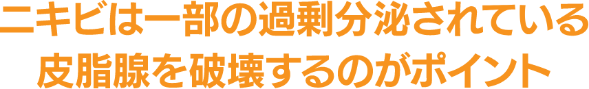 ニキビは一部の過剰分泌されている皮脂腺を破壊するのがポイント